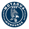 摩塔瓜